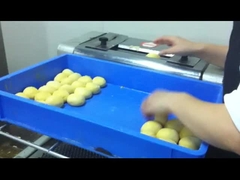 CG-38 ηλεκτρική τοστιέρα